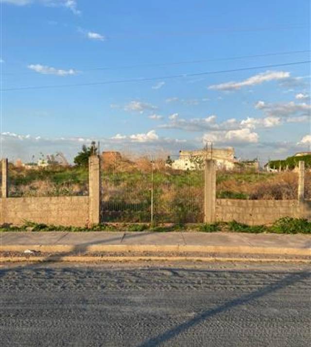 WhatsApp Image 2026-01-13 at 08.54.04.jpeg